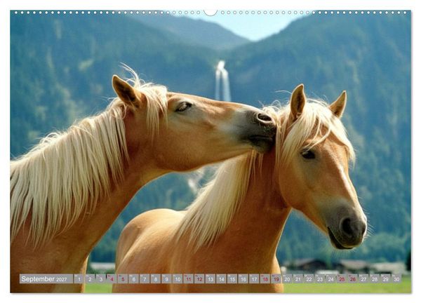 Produktbild: Alpent&auml;ler und Haflinger Pferde (Wandkalender 2027 DIN A2 quer), CALVENDO Monatskalender