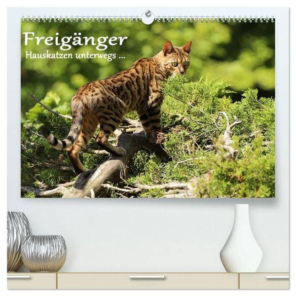 Produktbild: Freig&auml;nger - Hauskatzen unterwegs (hochwertiger Premium Wandkalender 2026 DIN A2 quer), Kunstdruck in Hochglanz