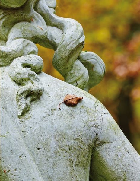 Produktbild: Flora, Fauna, Gartenfreude