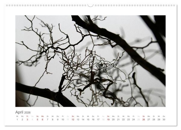 Produktbild: einfach schwarz-wei&szlig; (Wandkalender 2026 DIN A2 quer), CALVENDO Monatskalender