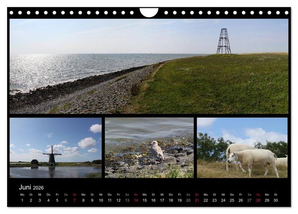 Produktbild: Texel, eine Perle Hollands (Wandkalender 2026 DIN A4 quer), CALVENDO Monatskalender