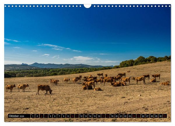 Produktbild: Wildes Sardinien 2026 (Wandkalender 2026 DIN A3 quer), CALVENDO Monatskalender