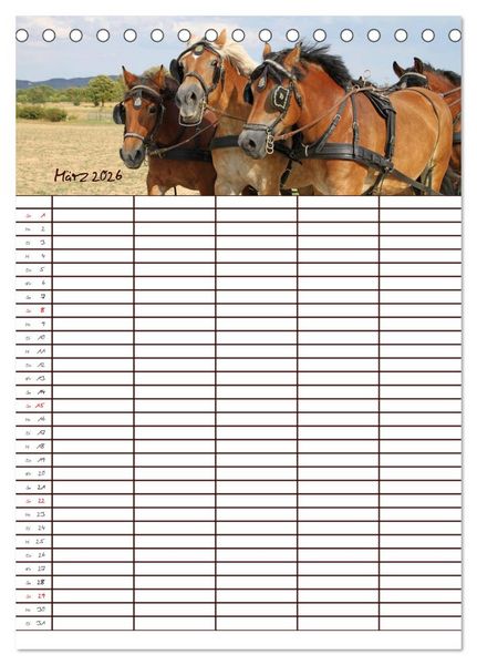 Produktbild: Der Kaltblut-Familienplaner (Tischkalender 2026 DIN A5 hoch), CALVENDO Monatskalender