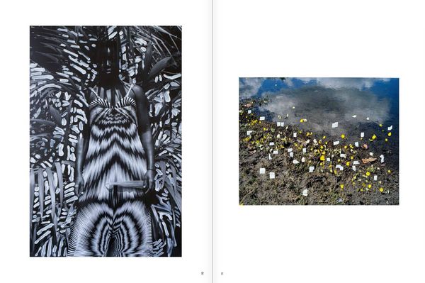 Produktbild: Viviane Sassen: Phosphor