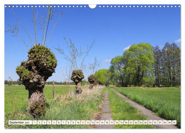 Produktbild: Brandenburg - Drei D&ouml;rfer im Naturpark Nuthe-Nieplitz - Fresdorf, St&uuml;cken, K&ouml;rzin (Wandkalender 2027 DIN A3 quer), CALVENDO Monatskalender