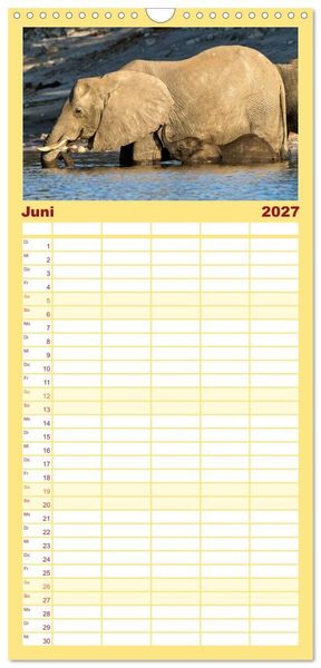 Produktbild: Familienplaner 2027 - Afrikas Tierwelt: Elefantenbabys mit 5 Spalten (Wandkalender, 21 x 45 cm) CALVENDO