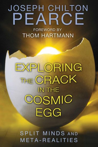 Produktbild: Exploring the Crack in the Cosmic Egg