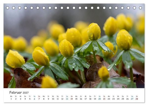 Produktbild: Typisch Magdeburg (Tischkalender 2027 DIN A5 quer), CALVENDO Monatskalender