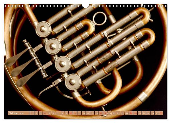 Produktbild: Aus Liebe zur Musik (Wandkalender 2026 DIN A3 quer), CALVENDO Monatskalender