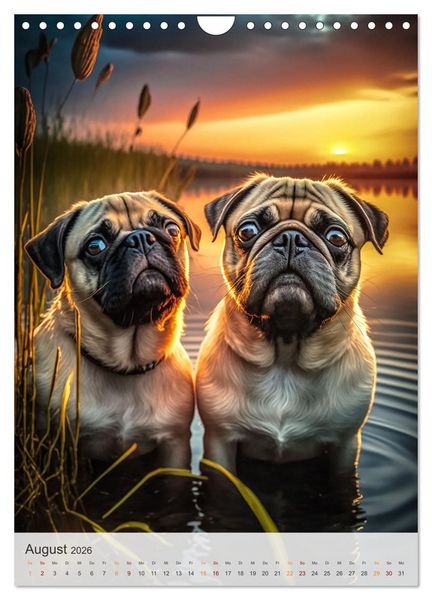 Produktbild: Mein Mops-Kalender (Wandkalender 2026 DIN A4 hoch), CALVENDO Monatskalender