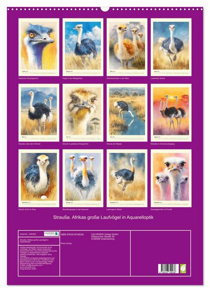 Produktbild: Strau&szlig;e. Afrikas gro&szlig;e Laufv&ouml;gel in Aquarelloptik (Wandkalender 2027 DIN A2 hoch), CALVENDO Monatskalender