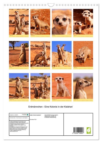 Produktbild: Erdm&auml;nnchen - Eine Kolonie in der Kalahari (Wandkalender 2026 DIN A3 hoch), CALVENDO Monatskalender