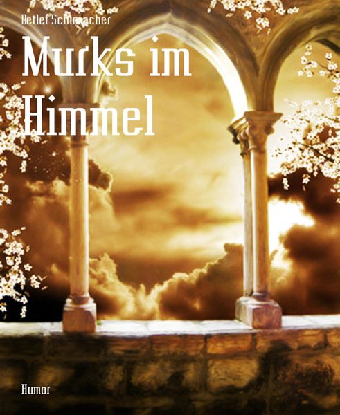 Produktbild: Murks im Himmel