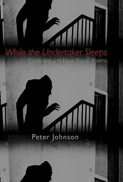 Produktbild: While the Undertaker Sleeps