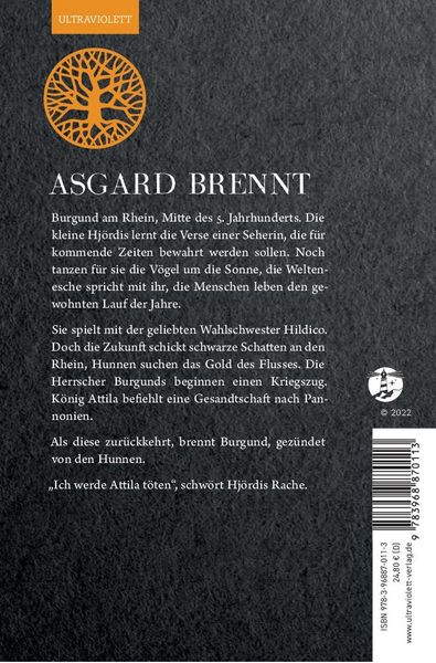 Produktbild: Asgard brennt