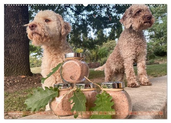 Produktbild: Tr&eacute;sors de truffes fran&ccedil;aises (Calendrier mural 2026 DIN A2 vertical), CALVENDO calendrier mensuel