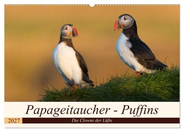 Produktbild: Papageitaucher - Puffins (Wandkalender 2027 DIN A2 quer), CALVENDO Monatskalender