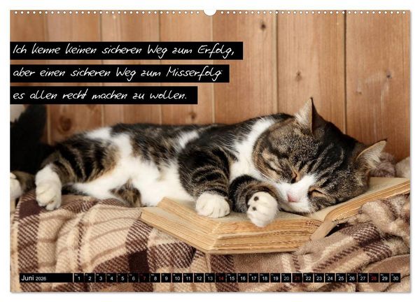 Produktbild: Der "philosophische" Katzenkalender 2026 (hochwertiger Premium Wandkalender 2026 DIN A2 quer), Kunstdruck in Hochglanz