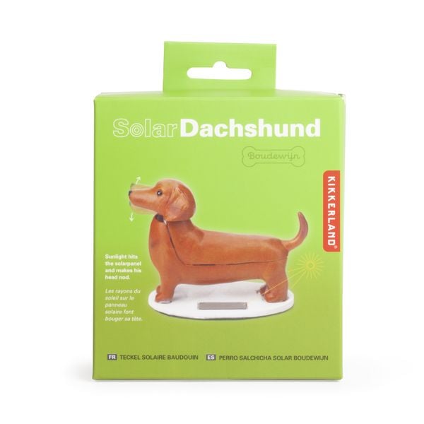 Solar Dashund - Boudewijn
