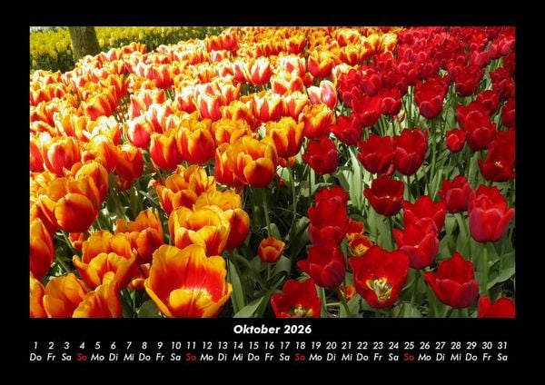 Produktbild: Blick in die Natur 2026 Fotokalender DIN A3