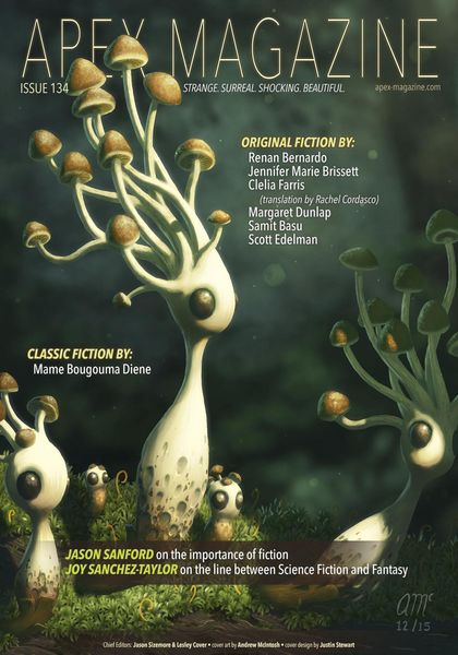 Produktbild: Apex Magazine Issue 134