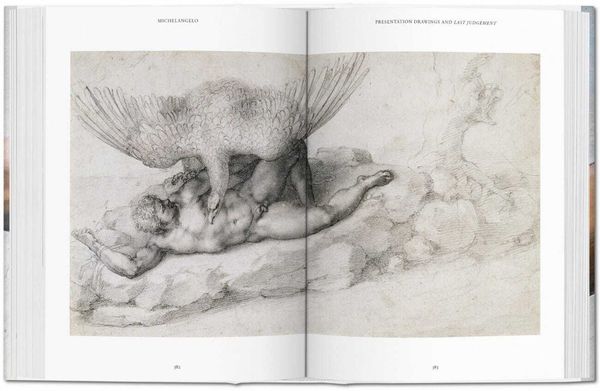 Produktbild: Michelangelo. The Complete Paintings, Sculptures and Arch.