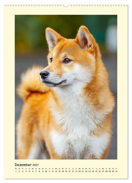 Produktbild: Shiba Inu Momente. Japans elegante Seelenhunde (hochwertiger Premium Wandkalender 2027 DIN A2 hoch), Kunstdruck in Hochglanz