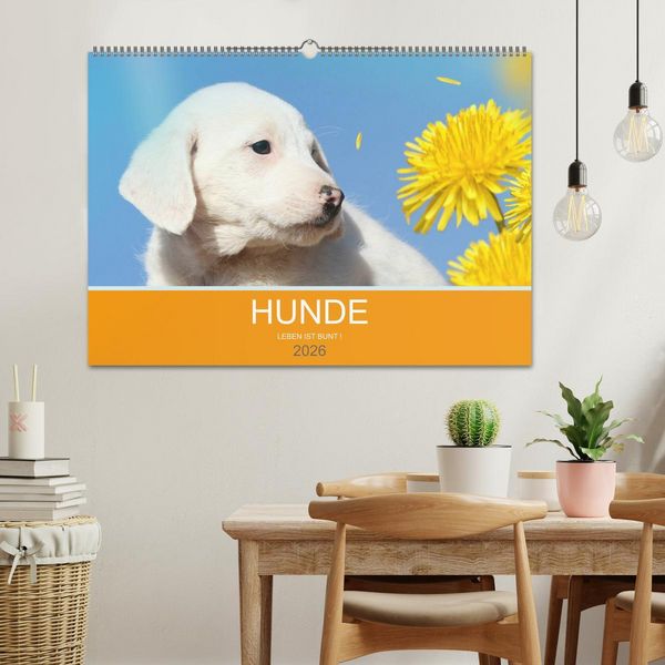 Produktbild: HUNDE LEBEN IST BUNT (Wandkalender 2026 DIN A2 quer), CALVENDO Monatskalender