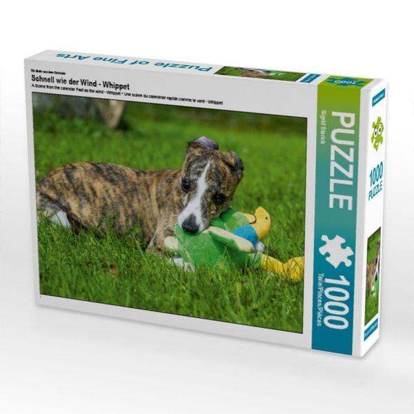 CALVENDO Puzzle Ein Motiv aus dem Kalender Schnell wie der Wind - Whippet | 1000 Teile Lege-Größe 64x48cm Foto-Puzzle für glückliche Stunden
