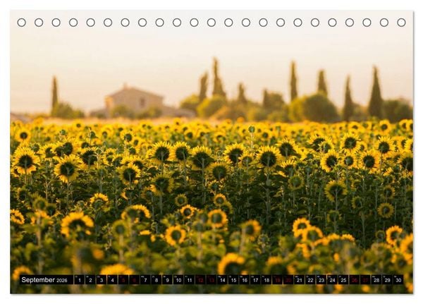 Produktbild: Provence im Rausch der Farben (Tischkalender 2026 DIN A5 quer), CALVENDO Monatskalender