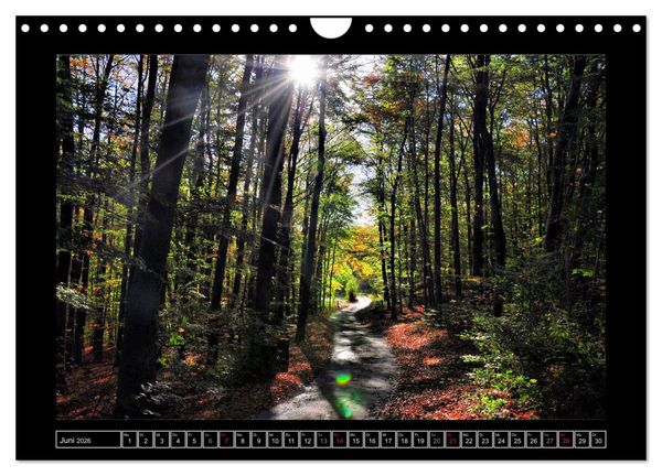 Produktbild: Hagen, das Tor zum Sauerland (Wandkalender 2026 DIN A4 quer), CALVENDO Monatskalender