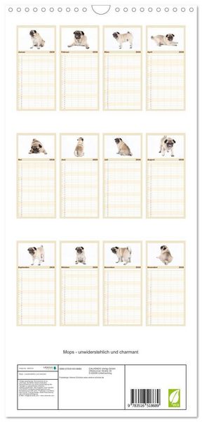 Produktbild: Familienplaner 2026 - Mops - unwiderstehlich und charmant mit 5 Spalten (Wandkalender, 21 x 45 cm) CALVENDO
