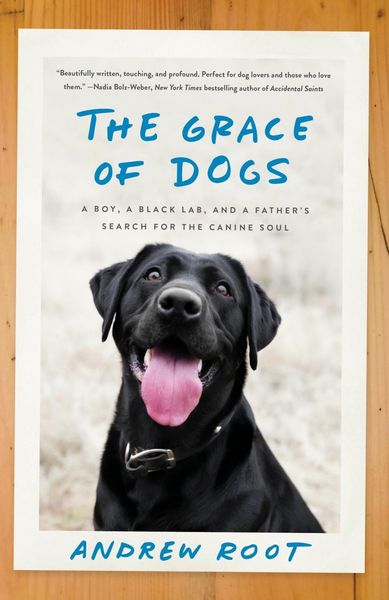 Produktbild: The Grace of Dogs