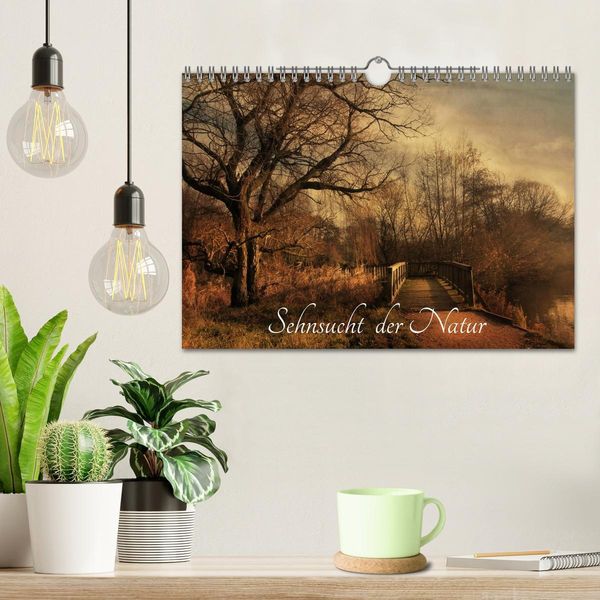 Produktbild: Sehnsucht der Natur (Wandkalender 2026 DIN A4 quer), CALVENDO Monatskalender