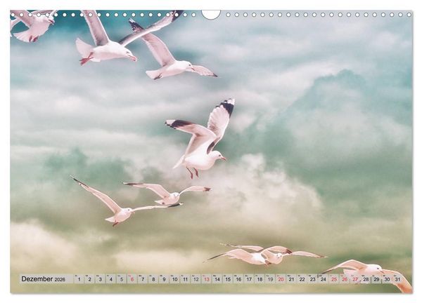 Produktbild: AMRUM Art (Wandkalender 2026 DIN A3 quer), CALVENDO Monatskalender