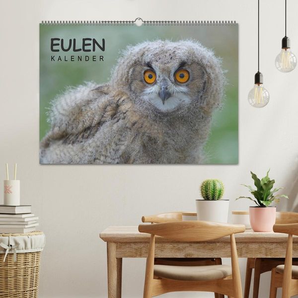 Produktbild: Eulen-Kalender (Wandkalender 2026 DIN A2 quer), CALVENDO Monatskalender