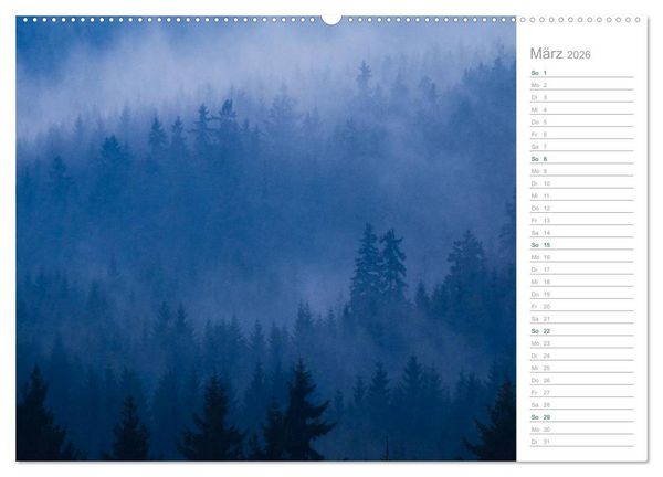 Produktbild: Im Deutschen Wald 2026 - ein Notizkalender (Wandkalender 2026 DIN A2 quer), CALVENDO Monatskalender