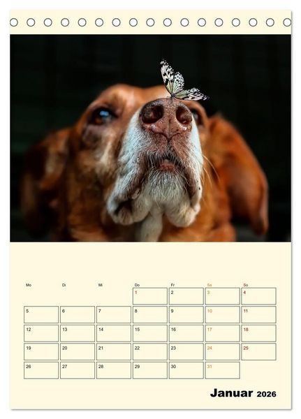 Produktbild: Lustig verr&uuml;ckt - der Tierkalender (Tischkalender 2026 DIN A5 hoch), CALVENDO Monatskalender