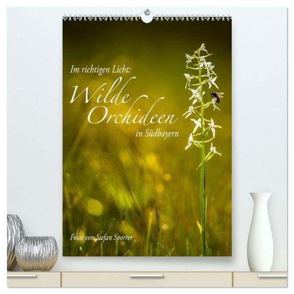 Produktbild: Im richtigen Licht: Wilde Orchideen in S&uuml;dbayern (hochwertiger Premium Wandkalender 2027 DIN A2 hoch), Kunstdruck in Hochglanz