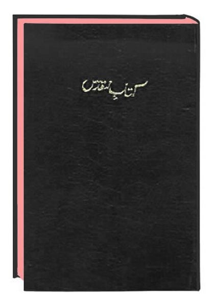 Produktbild: The Holy Bible Urdu