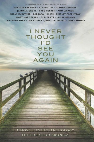 Produktbild: I Never Thought I'd See You Again