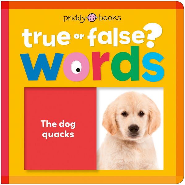 Produktbild: Words (True or False?)