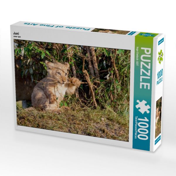 Produktbild: CALVENDO Puzzle Juni | 1000 Teile Lege-Gr&ouml;&szlig;e 64x48cm Foto-Puzzle f&uuml;r gl&uuml;ckliche Stunden