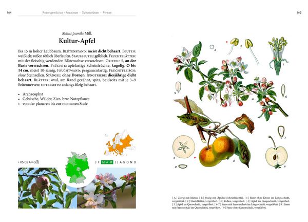 Produktbild: B&auml;ume