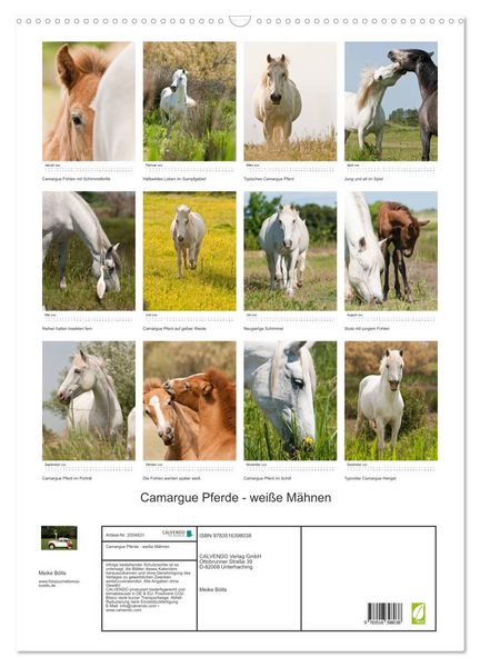 Produktbild: Camargue Pferde - wei&szlig;e M&auml;hnen (Wandkalender 2026 DIN A2 hoch), CALVENDO Monatskalender