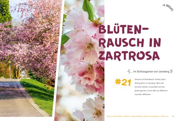 Produktbild: 52 kleine & gro&szlig;e Eskapaden in und um Stuttgart