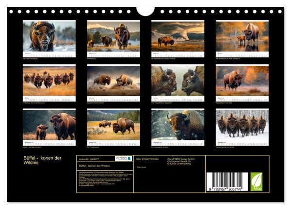 Produktbild: B&uuml;ffel - Ikonen der Wildnis (Wandkalender 2026 DIN A4 quer), CALVENDO Monatskalender