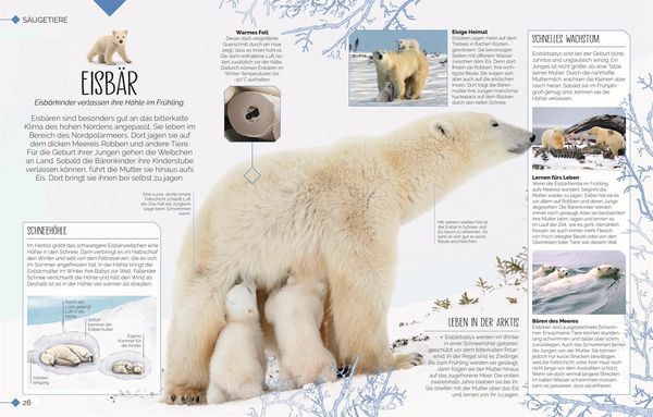 Produktbild: Tierkinder der Wildnis