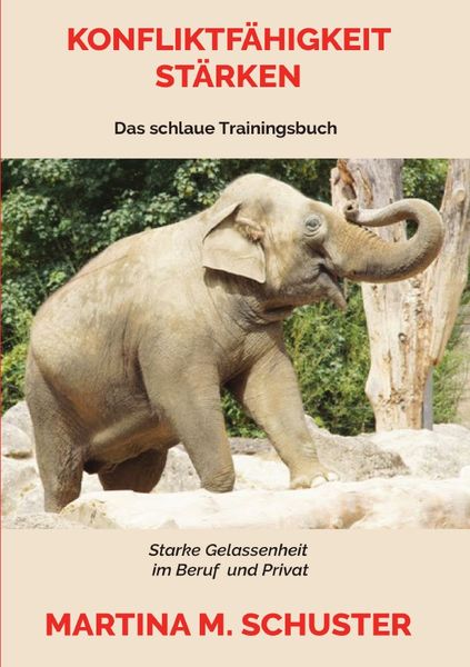 Produktbild: Konfliktf&auml;higkeit St&auml;rken