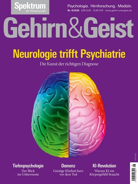 Produktbild: Gehirn&Geist 6/2026 Neurologie trifft Psychiatrie